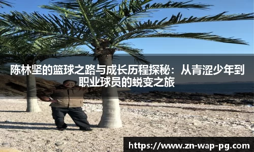 关键词3
